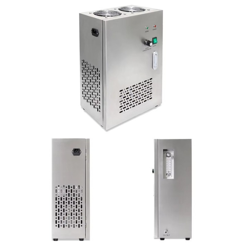 Flygoo Ozonaqua Air Feed Built - Ozone Generator Water Purifier 10G 评论和价格