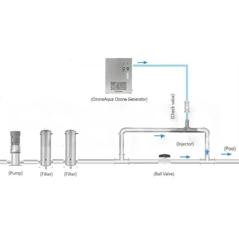 Flygoo Ozonaqua Air Feed Built - Ozone Generator Water Purifier 10G 评论和价格