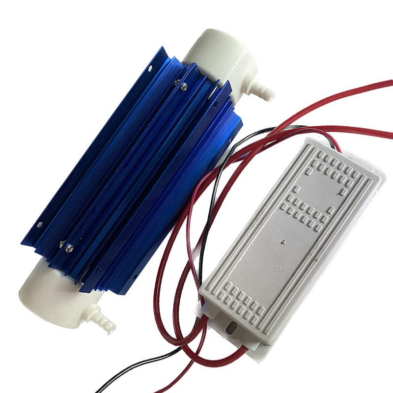 10G/h Quartz Tube Ozone Genera - Ozone Generator Water Purifier 10G 评论和价格