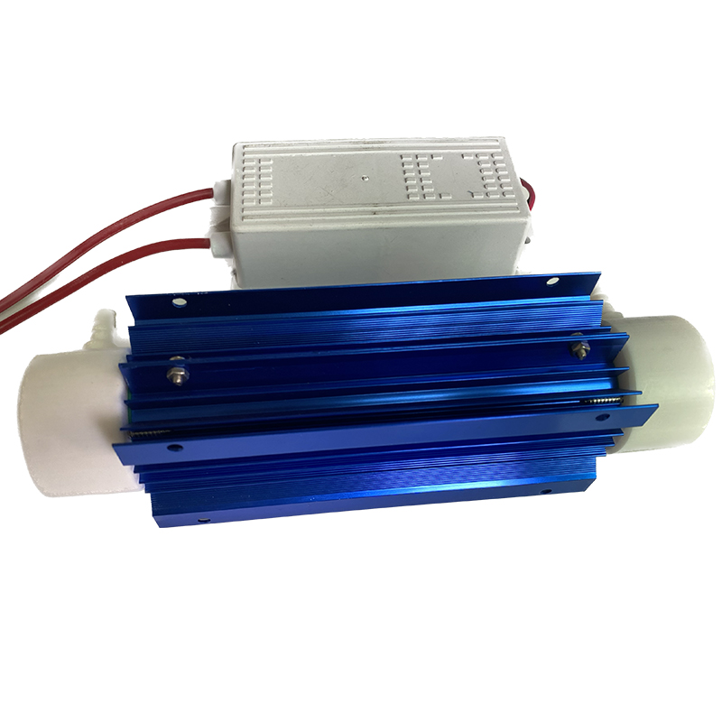 10G/h Quartz Tube Ozone Genera - Ozone Generator Water Purifier 10G 评论和价格