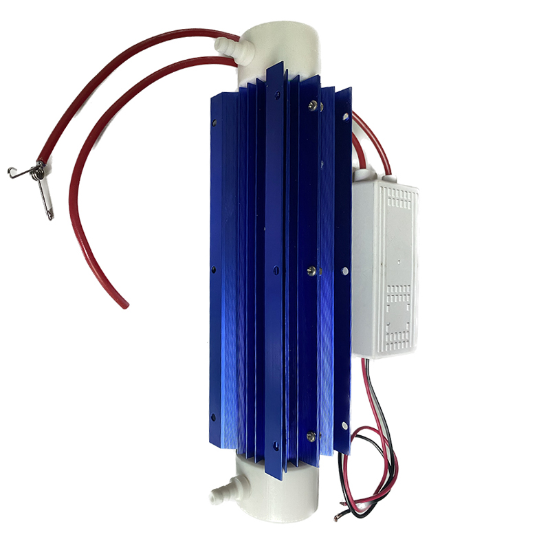 10G/h Quartz Tube Ozone Genera - Ozone Generator Water Purifier 10G 评论和价格