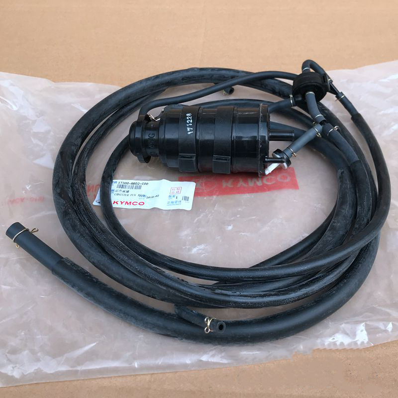 Motorcycle Secondary Air Filte - Activated Carbon Air Filter Canister 评论和价格